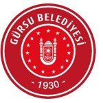 gürsu-halı-yıkama